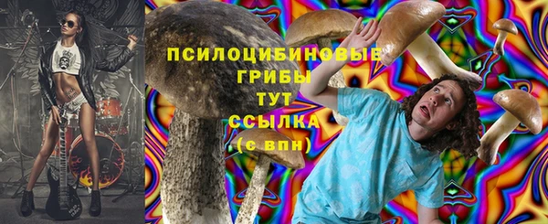 мдпв Верхний Тагил