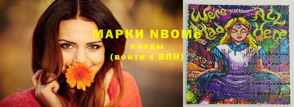 мдпв Верхний Тагил
