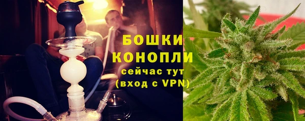 мдпв Верхний Тагил