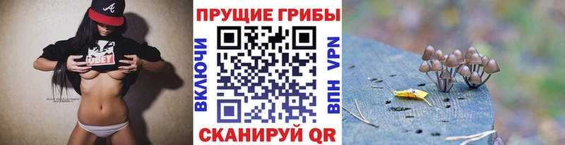 blacksprut маркетплейс  Нестеров  Галлюциногенные грибы Cubensis  цена  